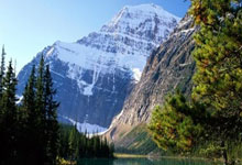 天涯论坛创业家园发贴：聊聊我的网上创业故事